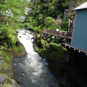 Meet your Posher, Jackie